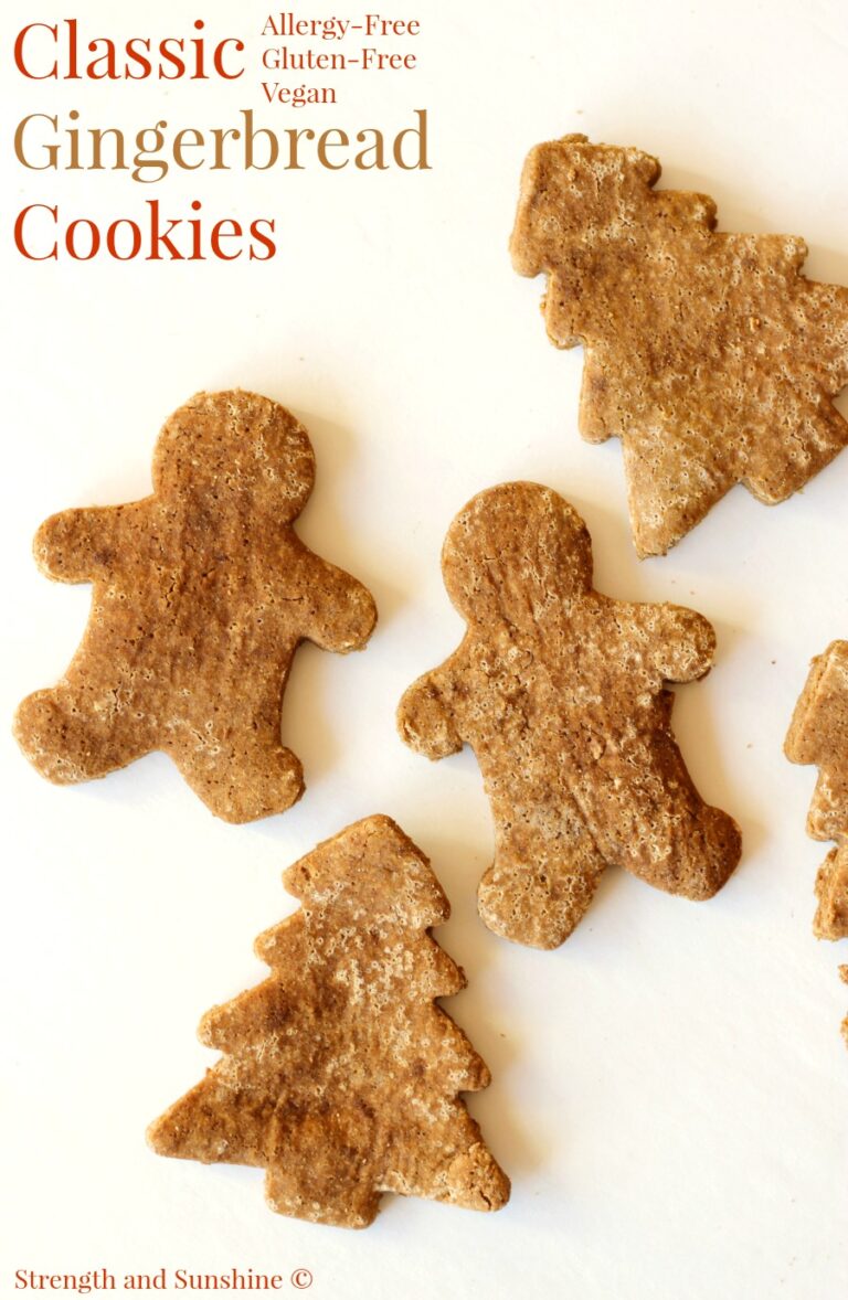 20+ of the BEST Recipes for Holiday Cookies